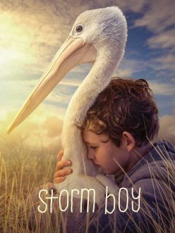 Storm Boy